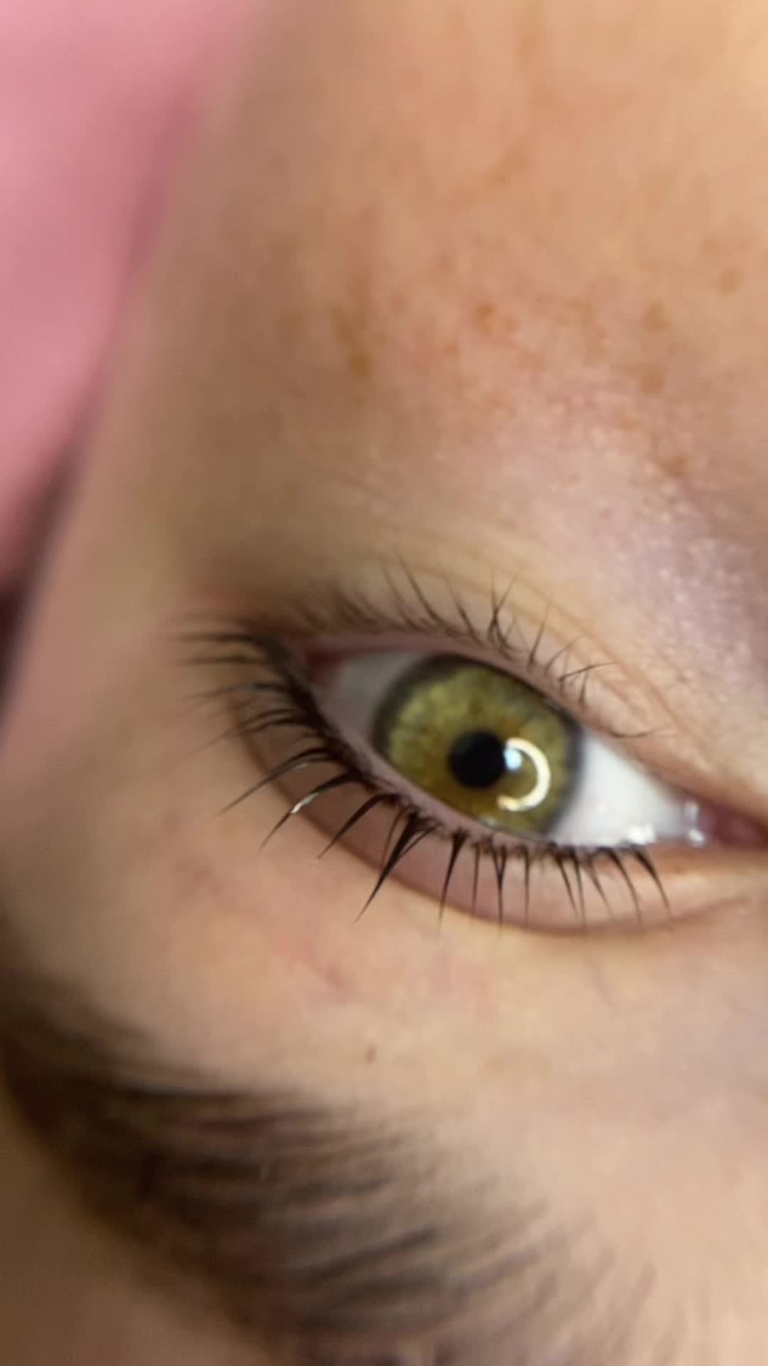 @pink_lashes_il