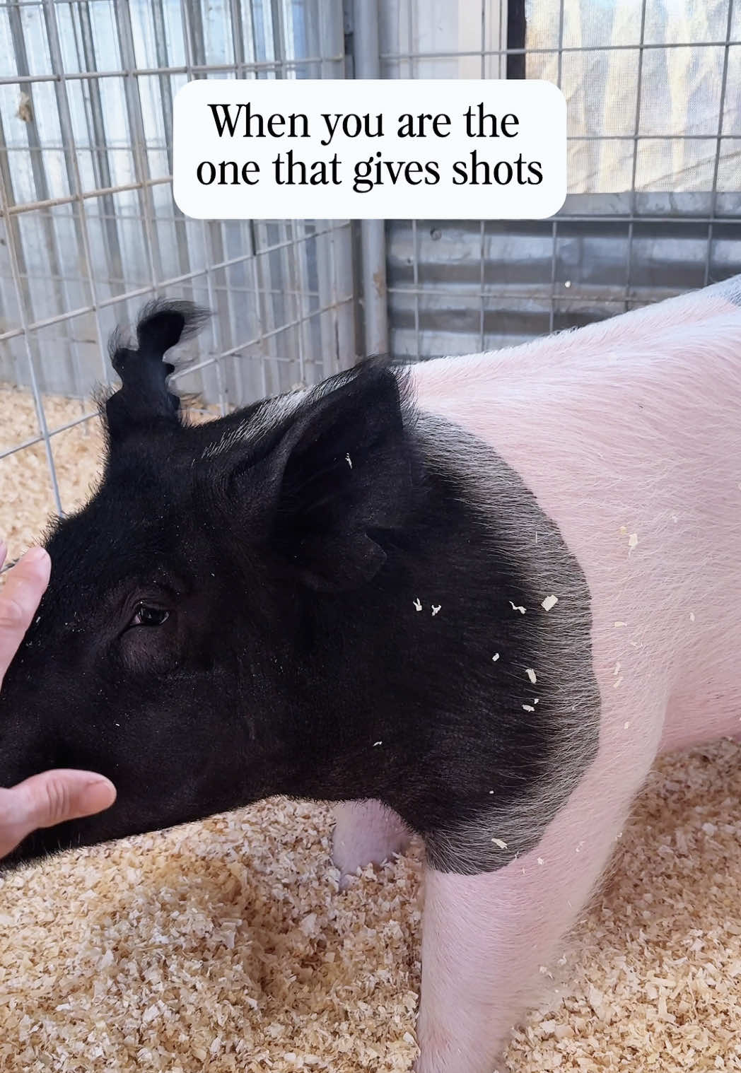 @Dadson Farms