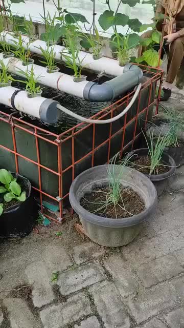@user20505406424