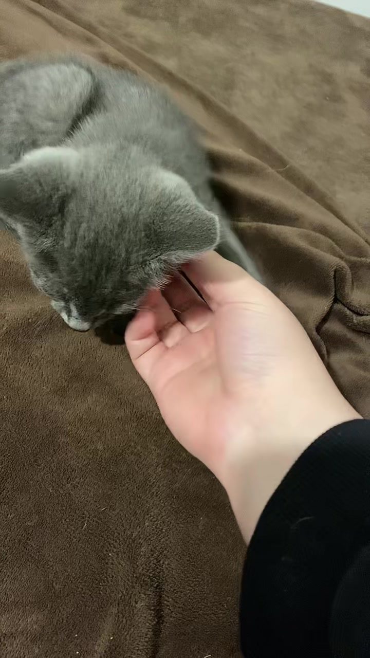 @Даша🤍