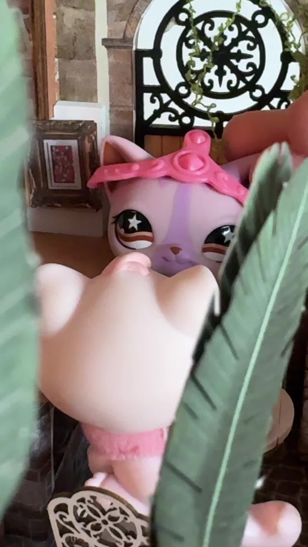 @elise ₍^. .^₎⟆