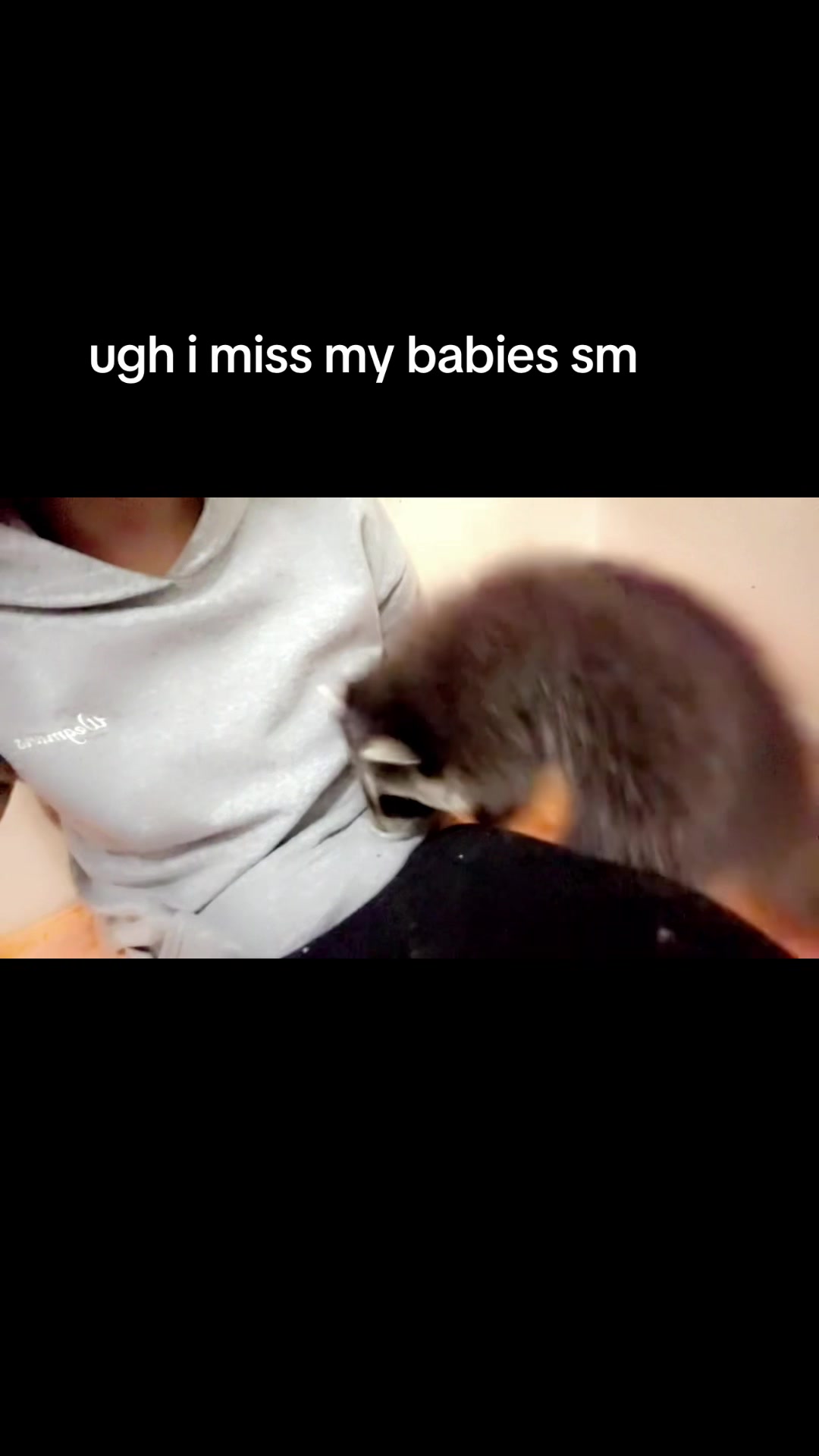 @MixedDepoBabi
