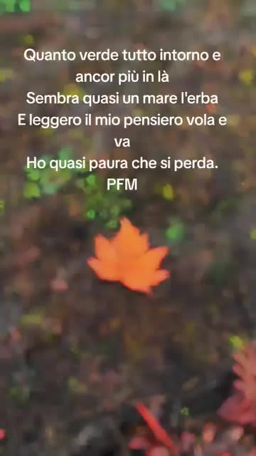 @Francesco Forestiere