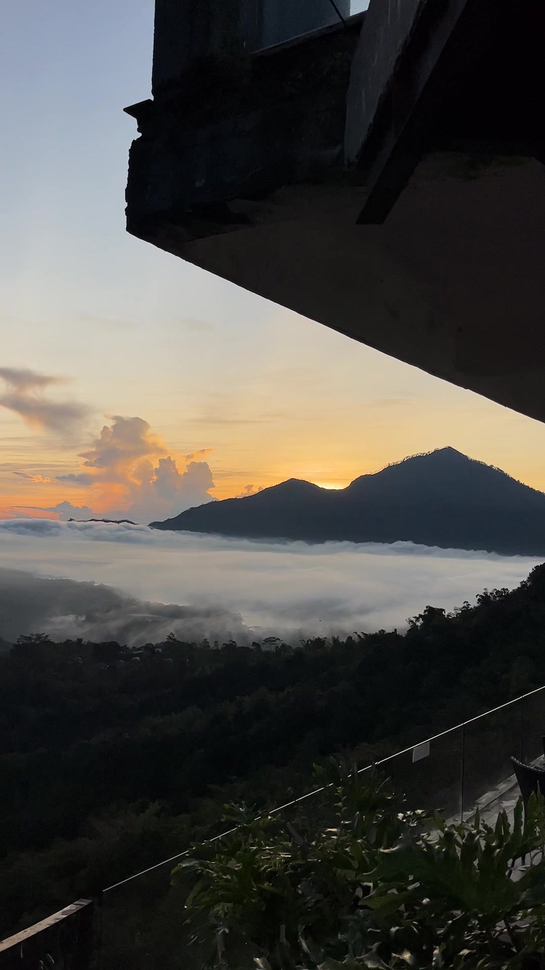 @Amora Kintamani