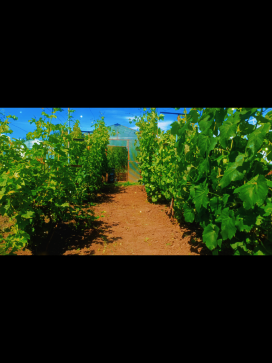 @Владимир