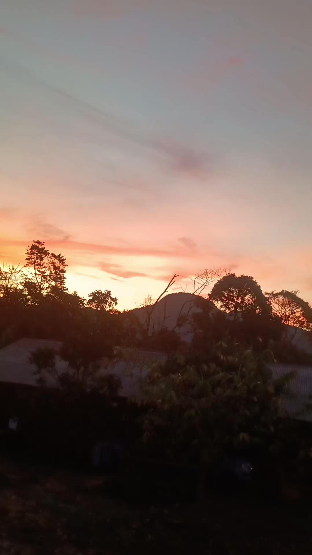 @vilmar alem&atilde;o