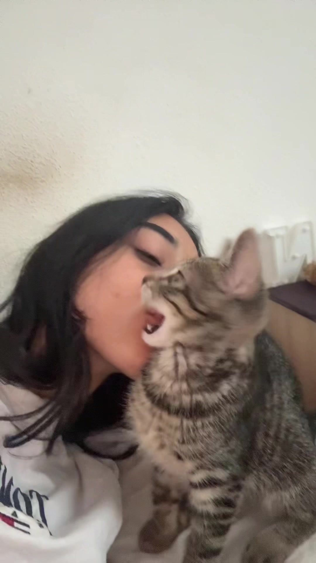 @꧁Сияна꧂