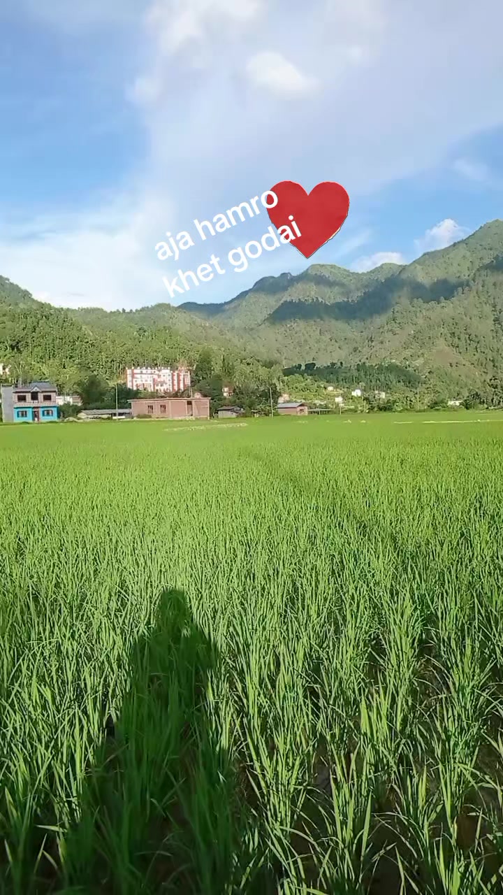 @Dipa hiski