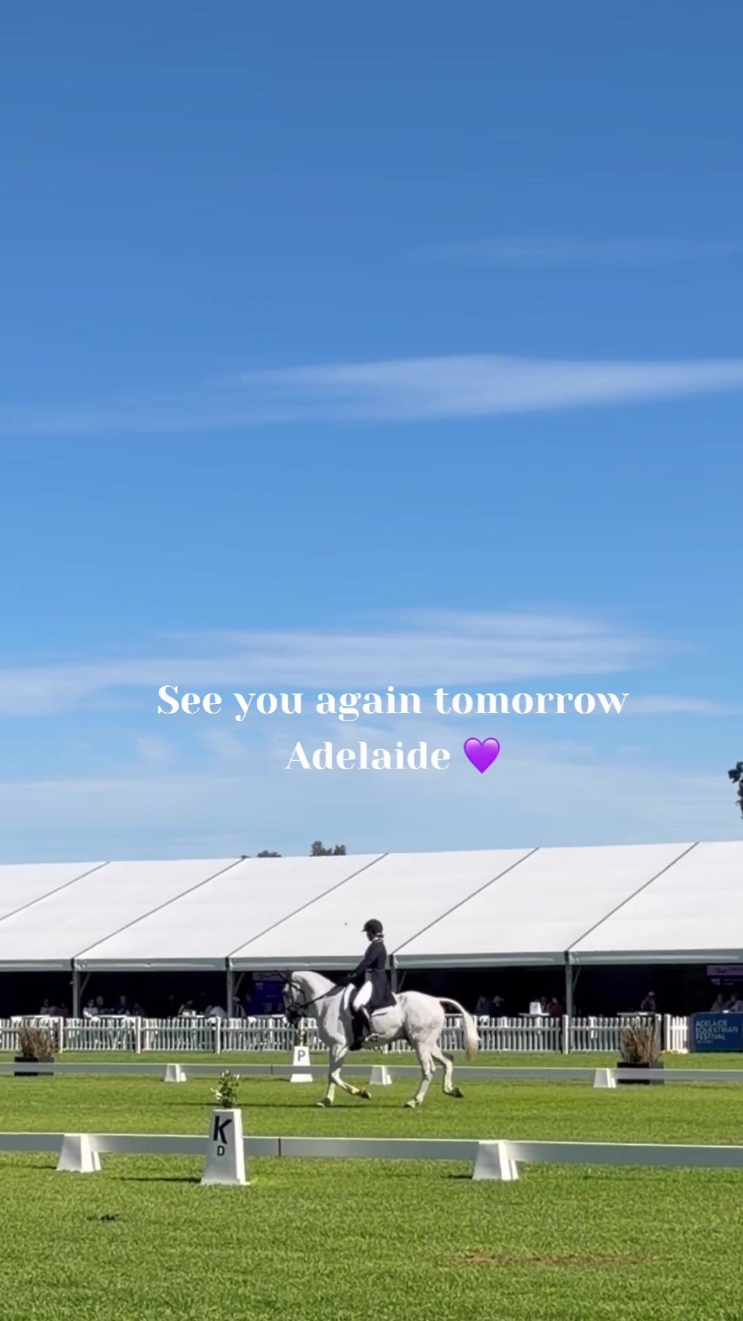 @LumiereEquestrian