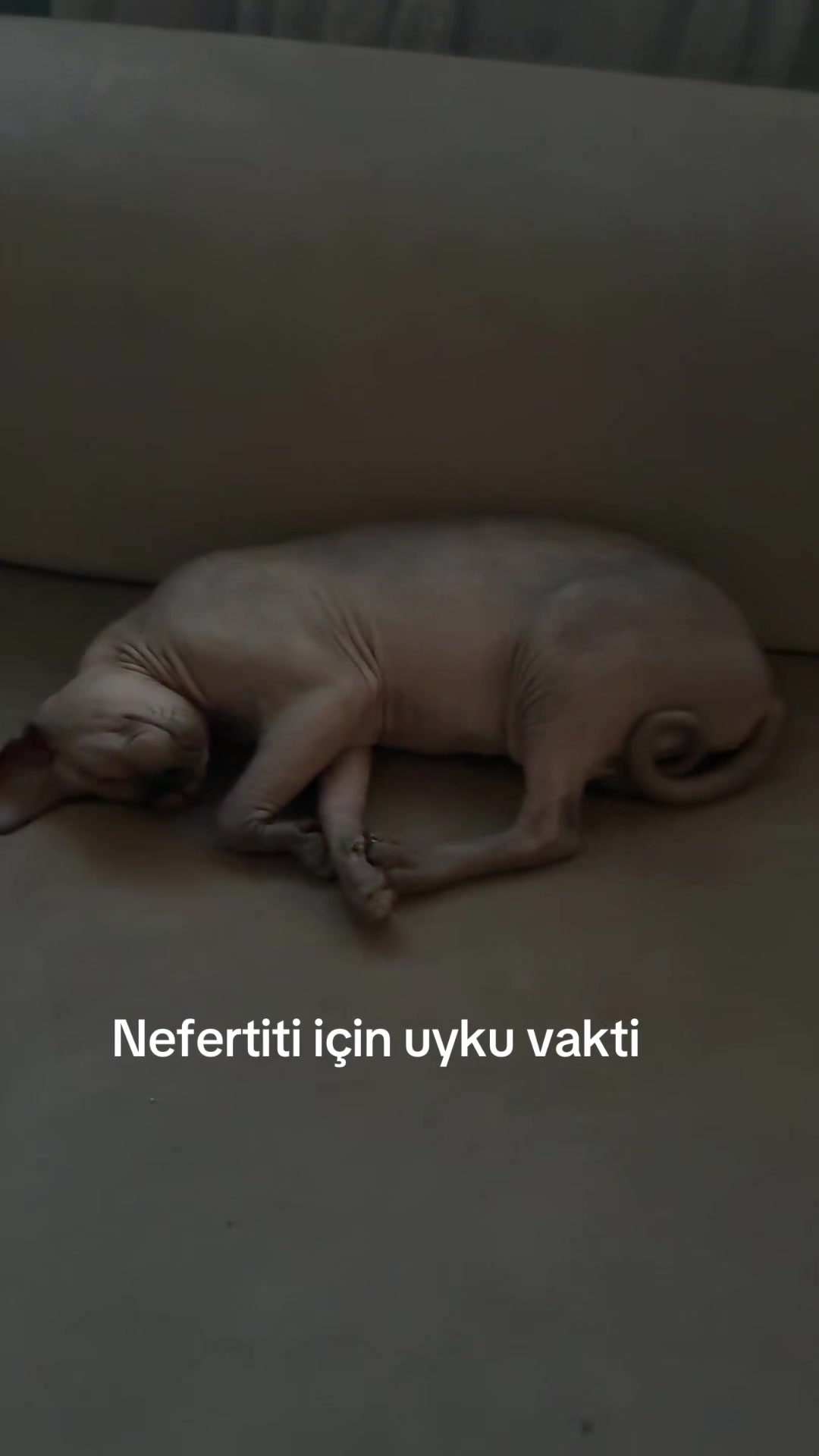 @Larin