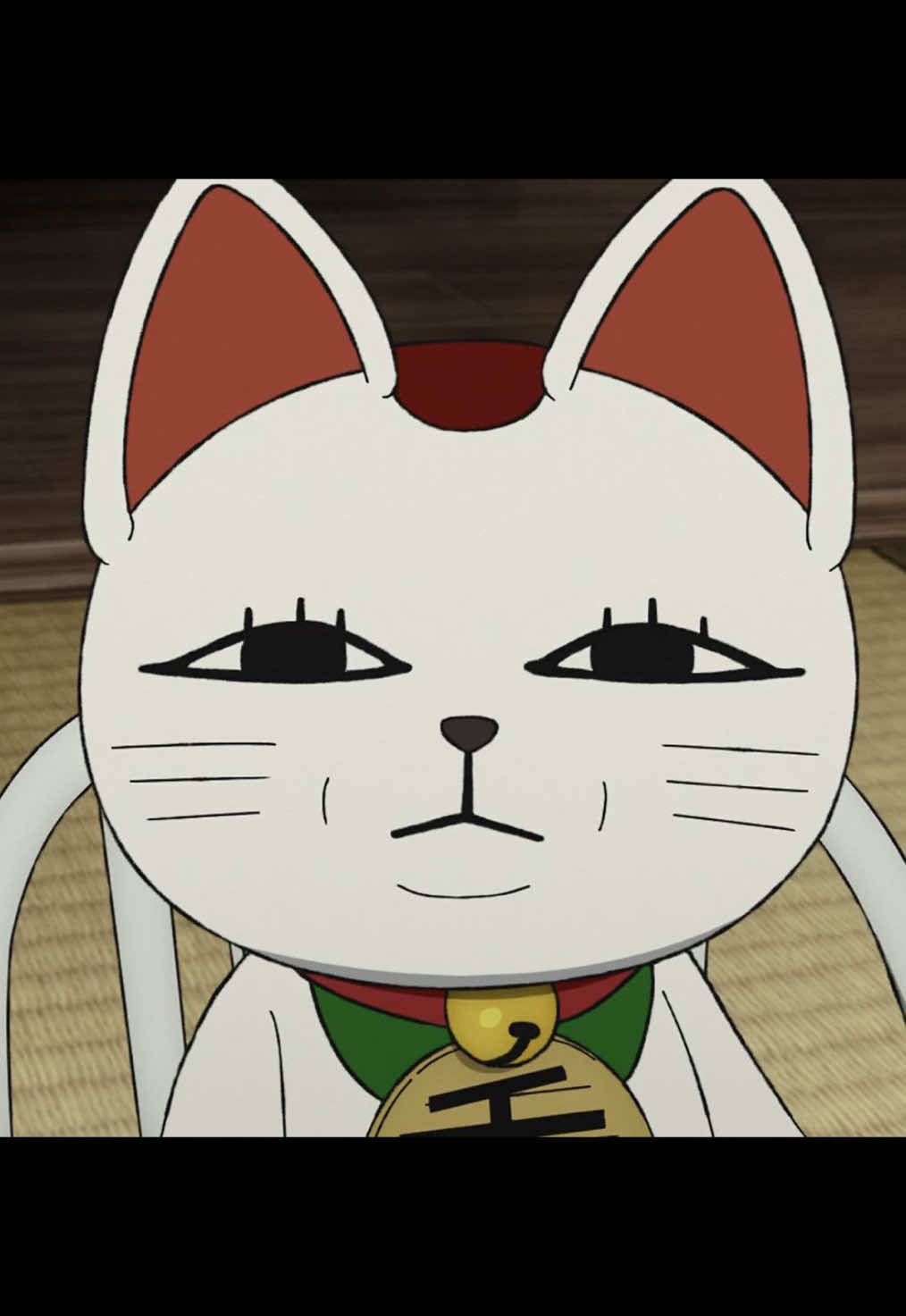 @๐๐ฆ๐ช๐ข๐ฐโ๐พ°ห เผ เณโ๏ฝกห