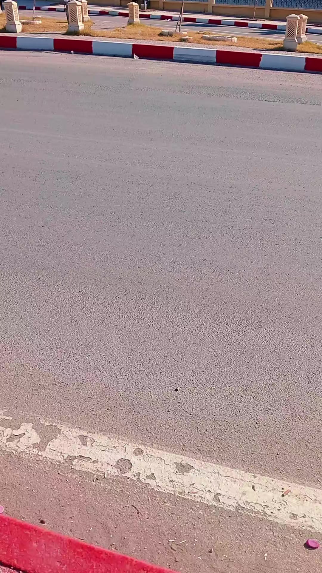 @نوارة 41