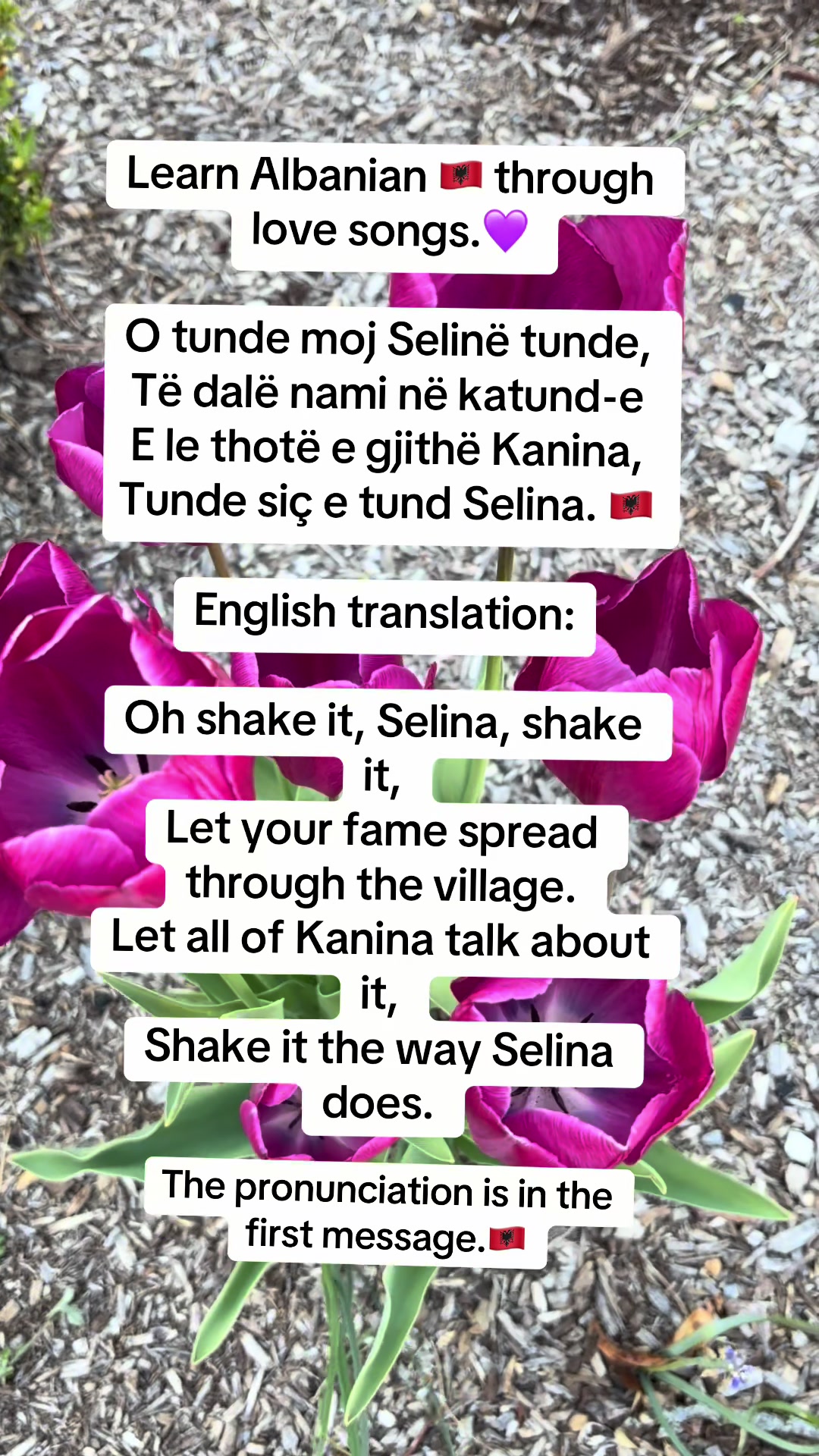 @Albana
