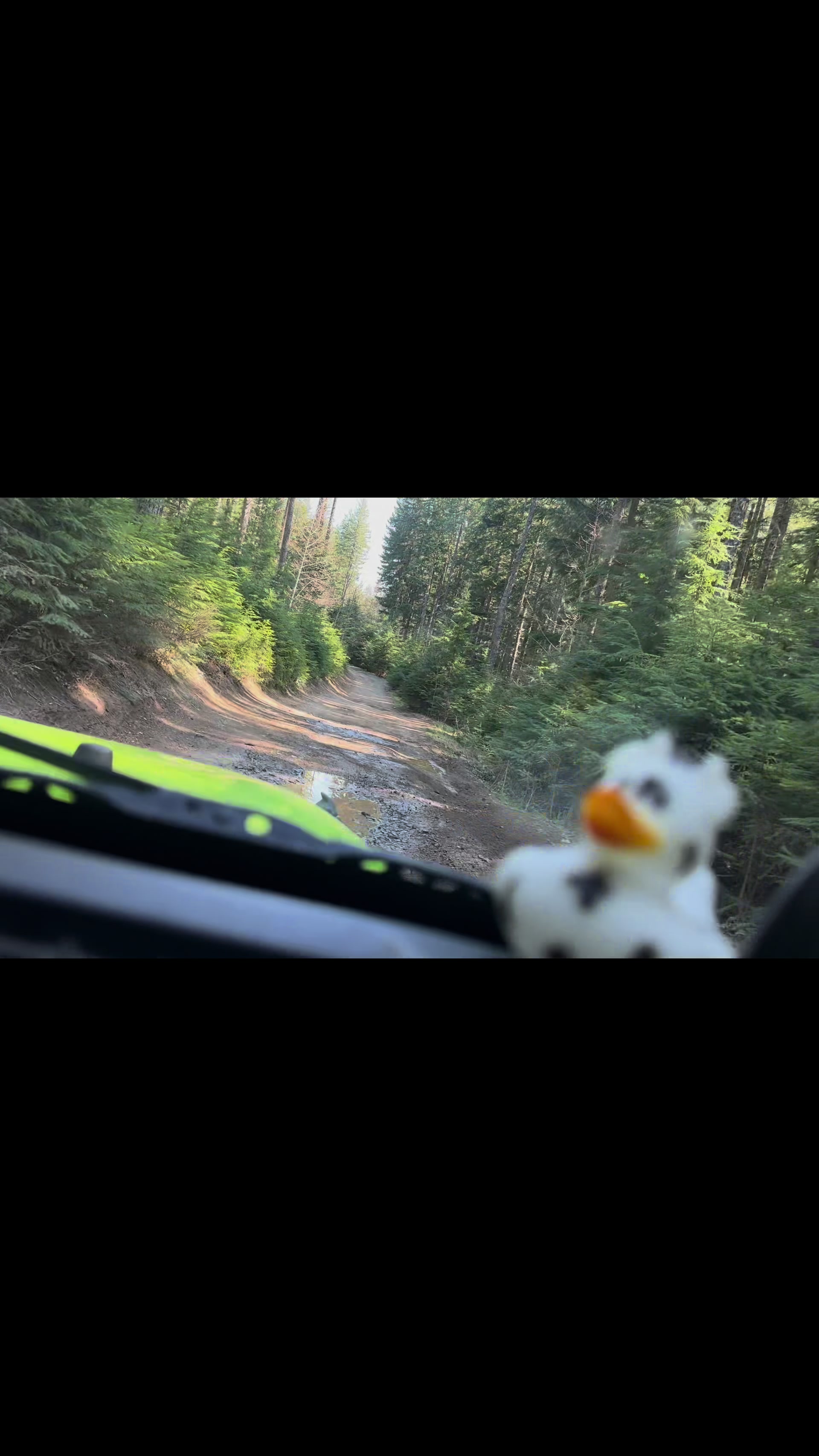@SkyValleyGoonie🏴&zwj;☠️