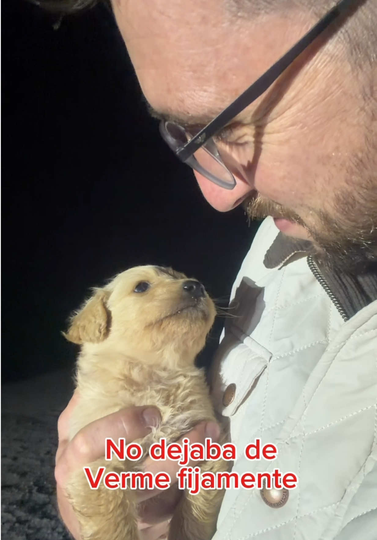 @Nico Bell