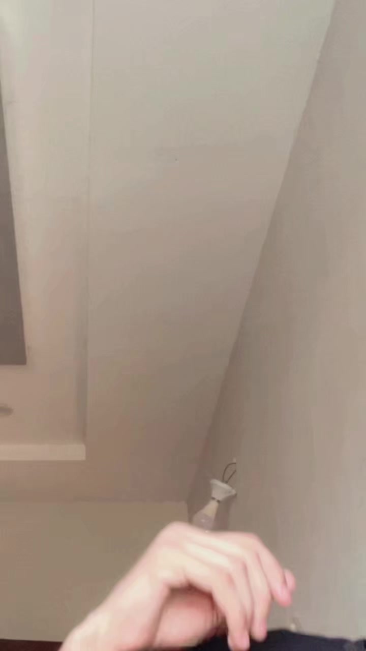 @حمزہ 🐣🦢