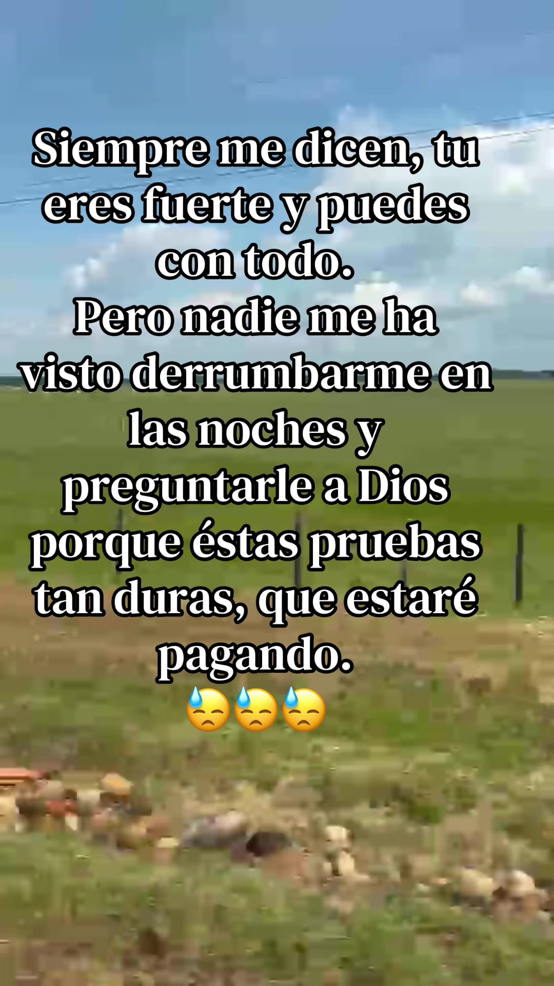 @Sami💖