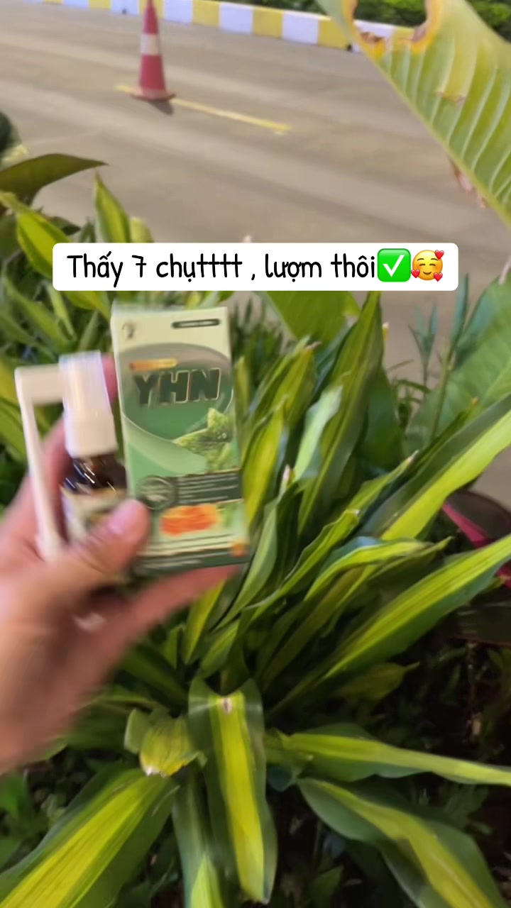 @Tiệm Tr&agrave; Việt