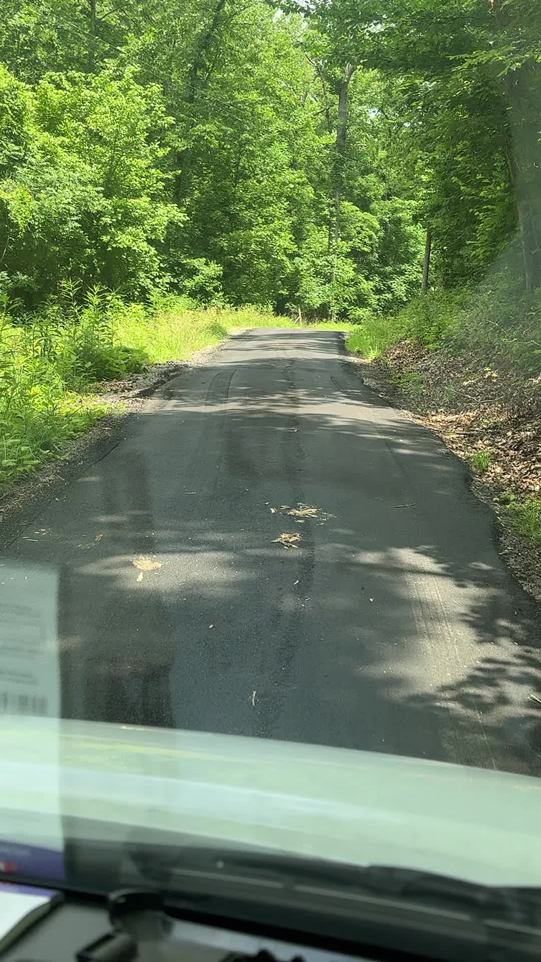 @Chasity jo 😍❤️🦆
