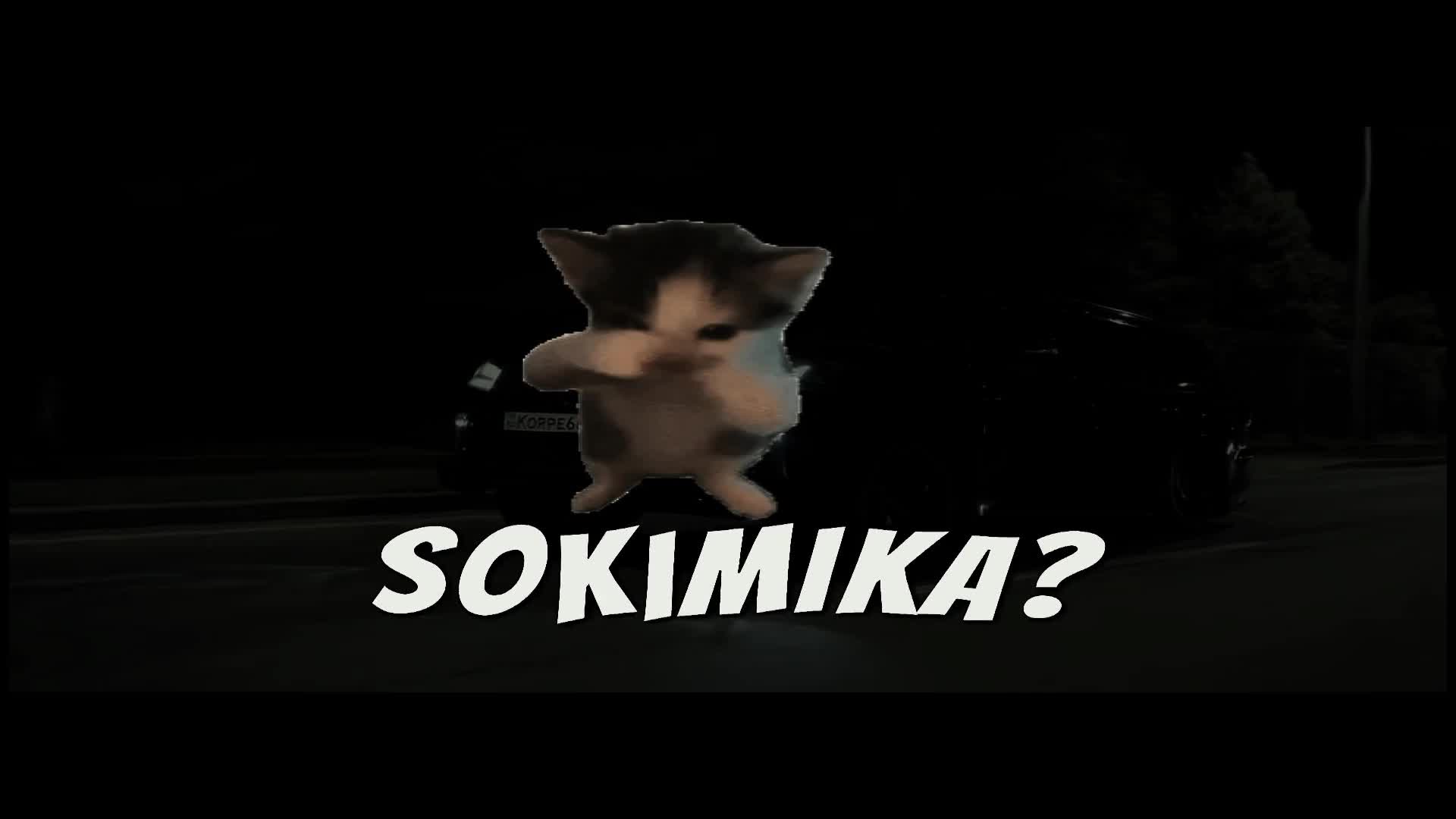 @господин SOKIMIKA