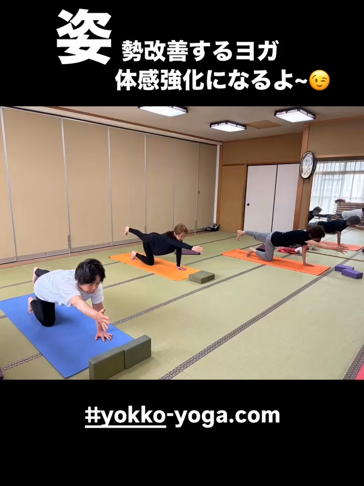@yokko_yoga2016