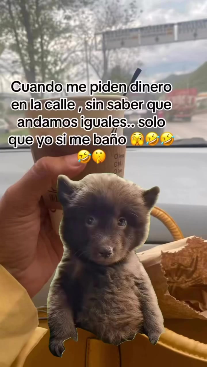 @Obi