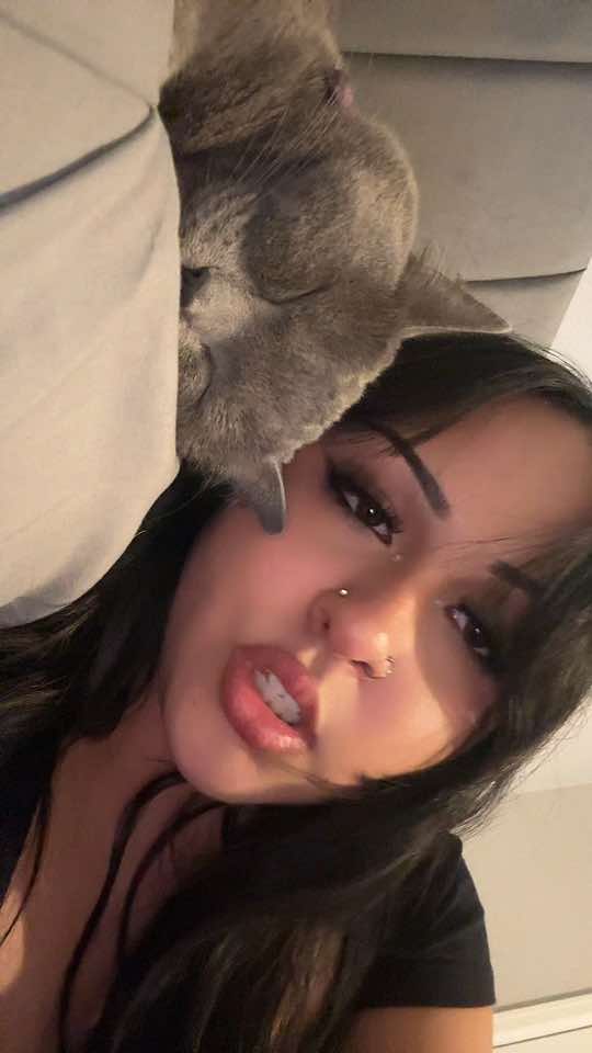 @aliceacordovaa