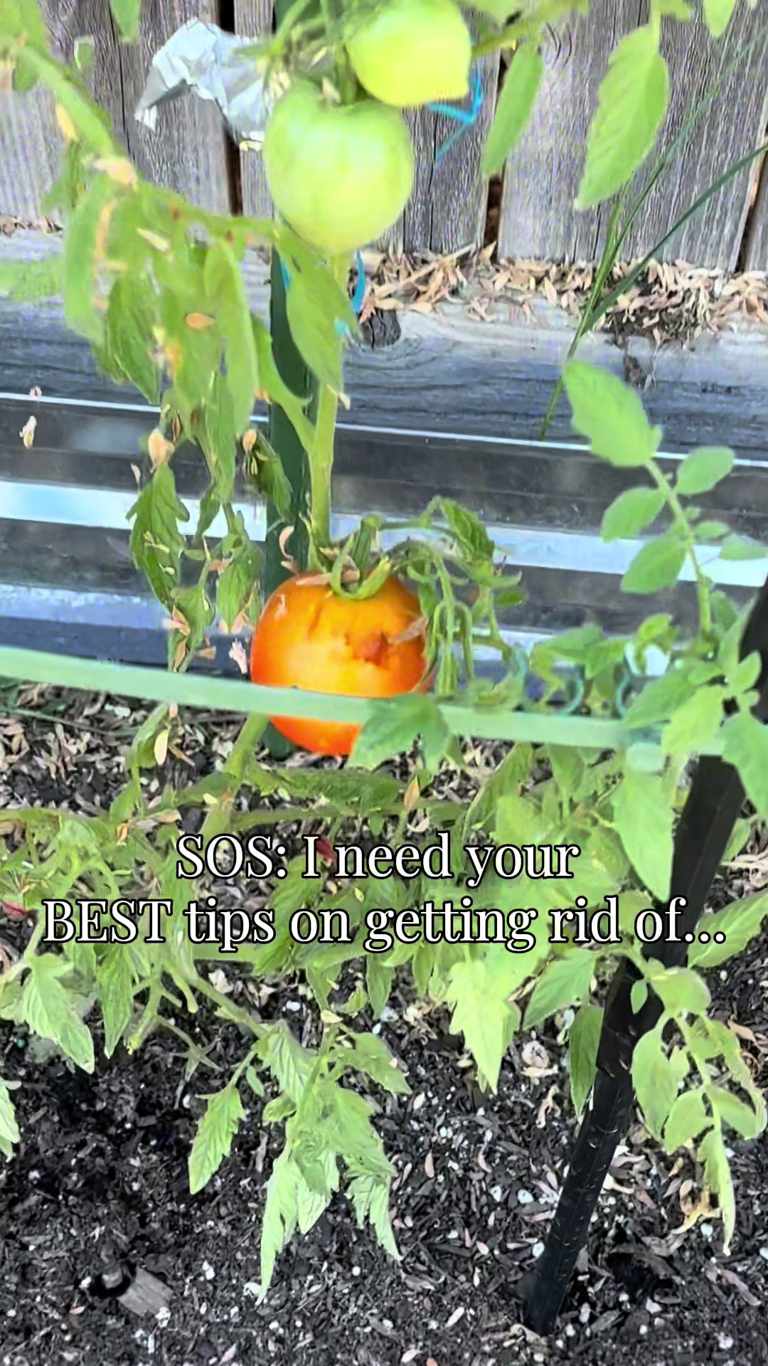 @plantingwithe