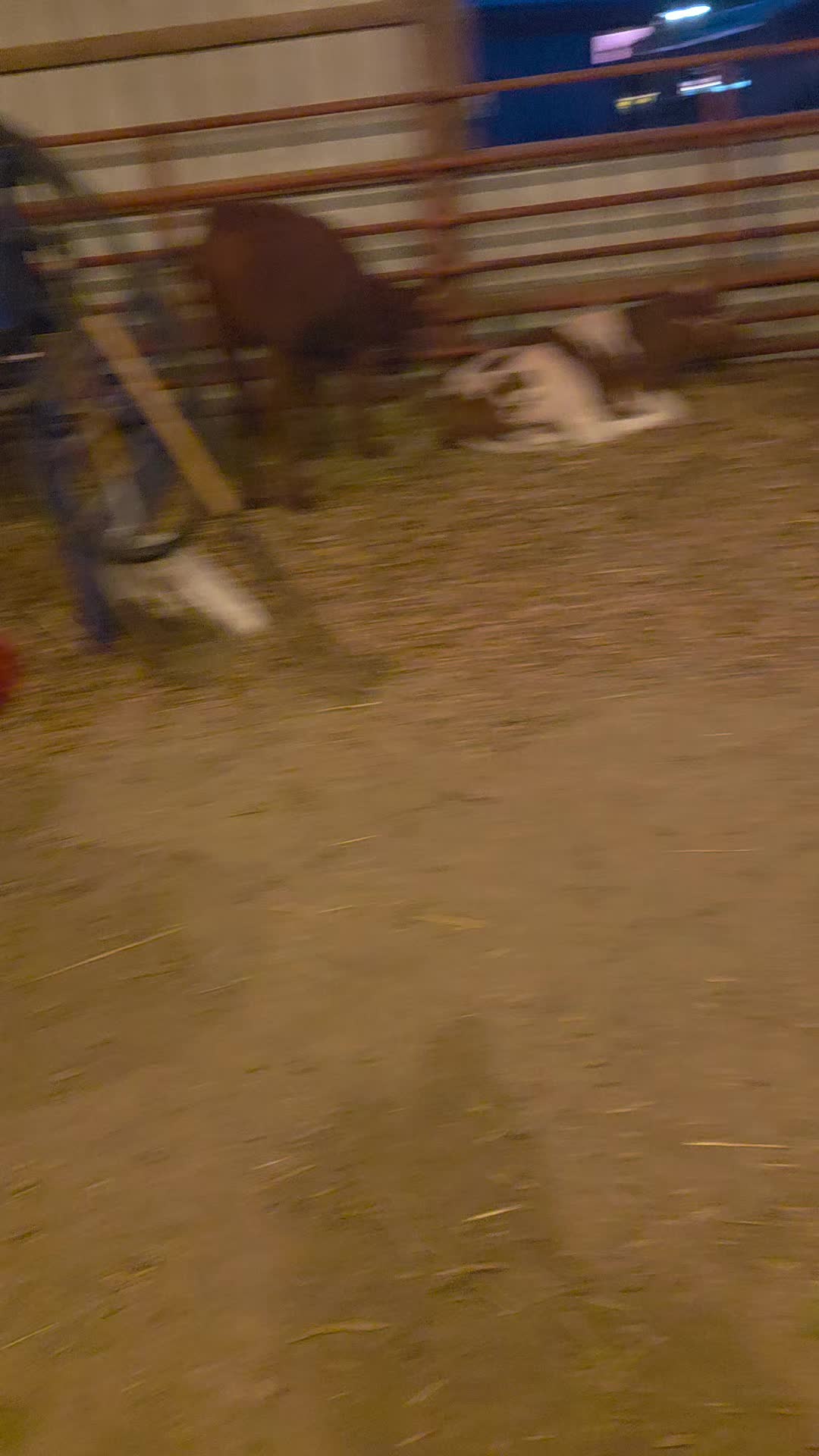@Jaqdavid5