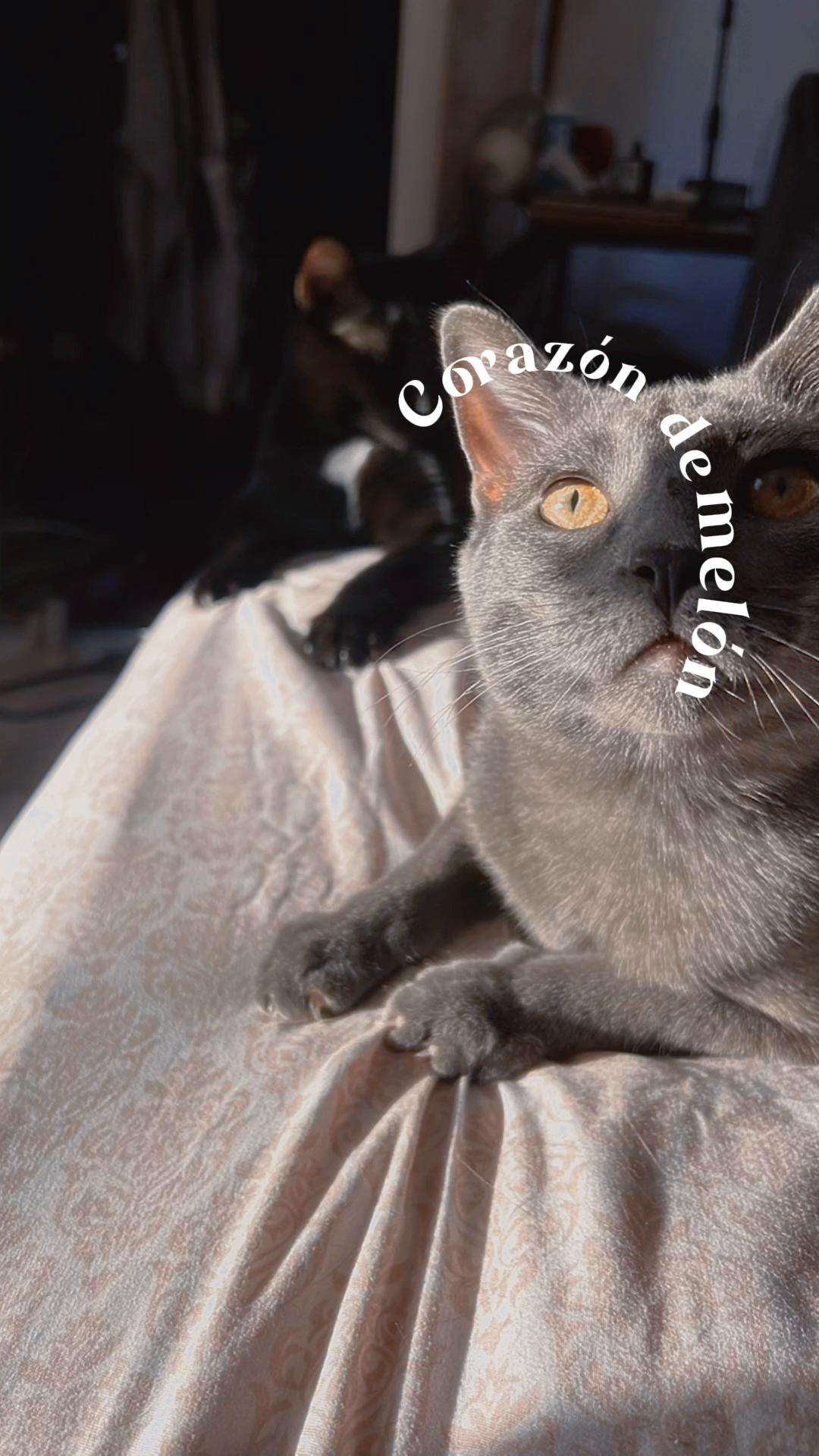 @generationXchild