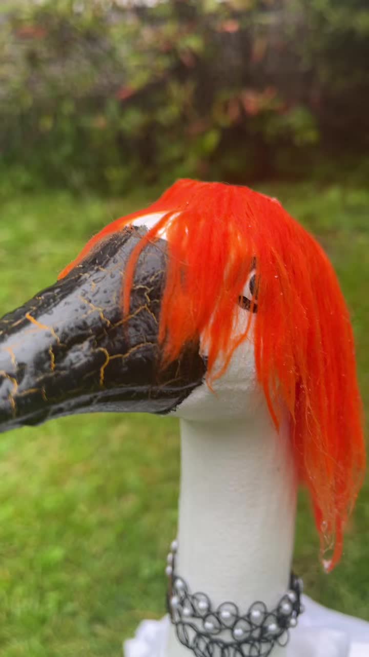 @creepy witch nose lady