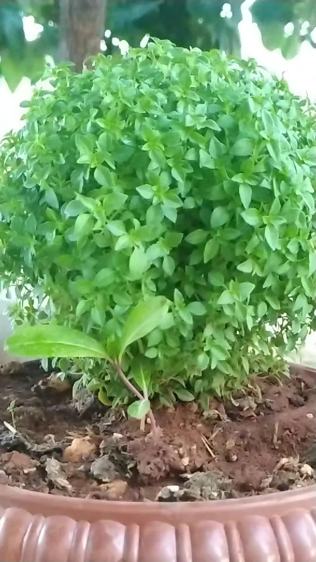 @أُنثى القمَر🎀🧸