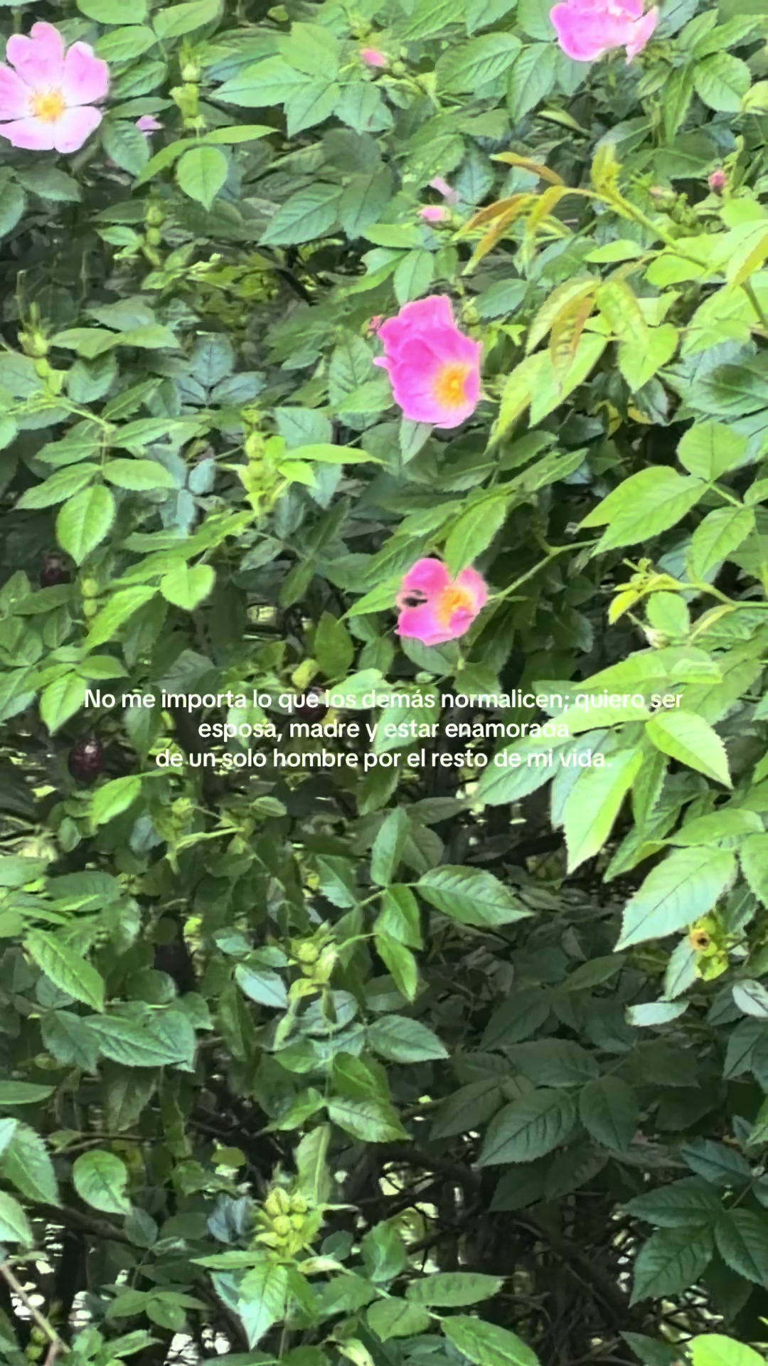 @R♡