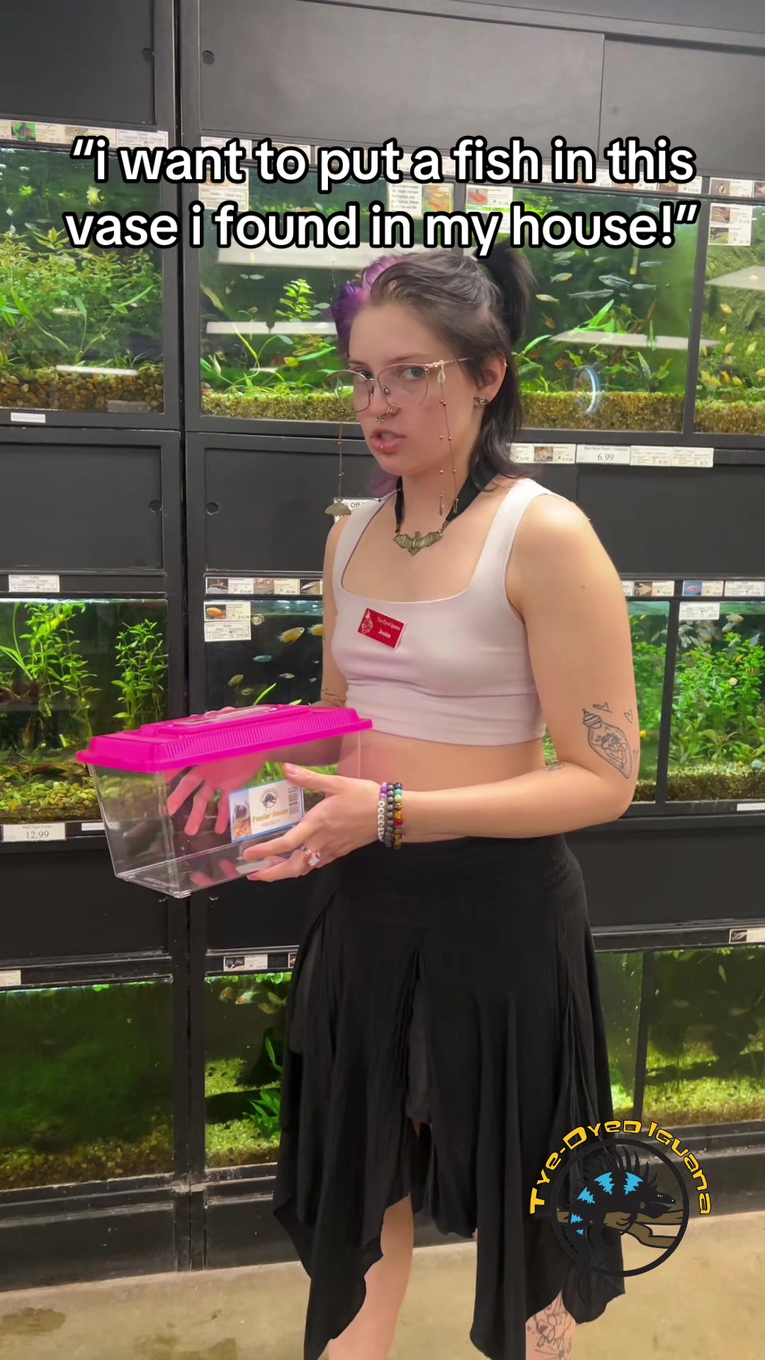@Tye-Dyed Iguana