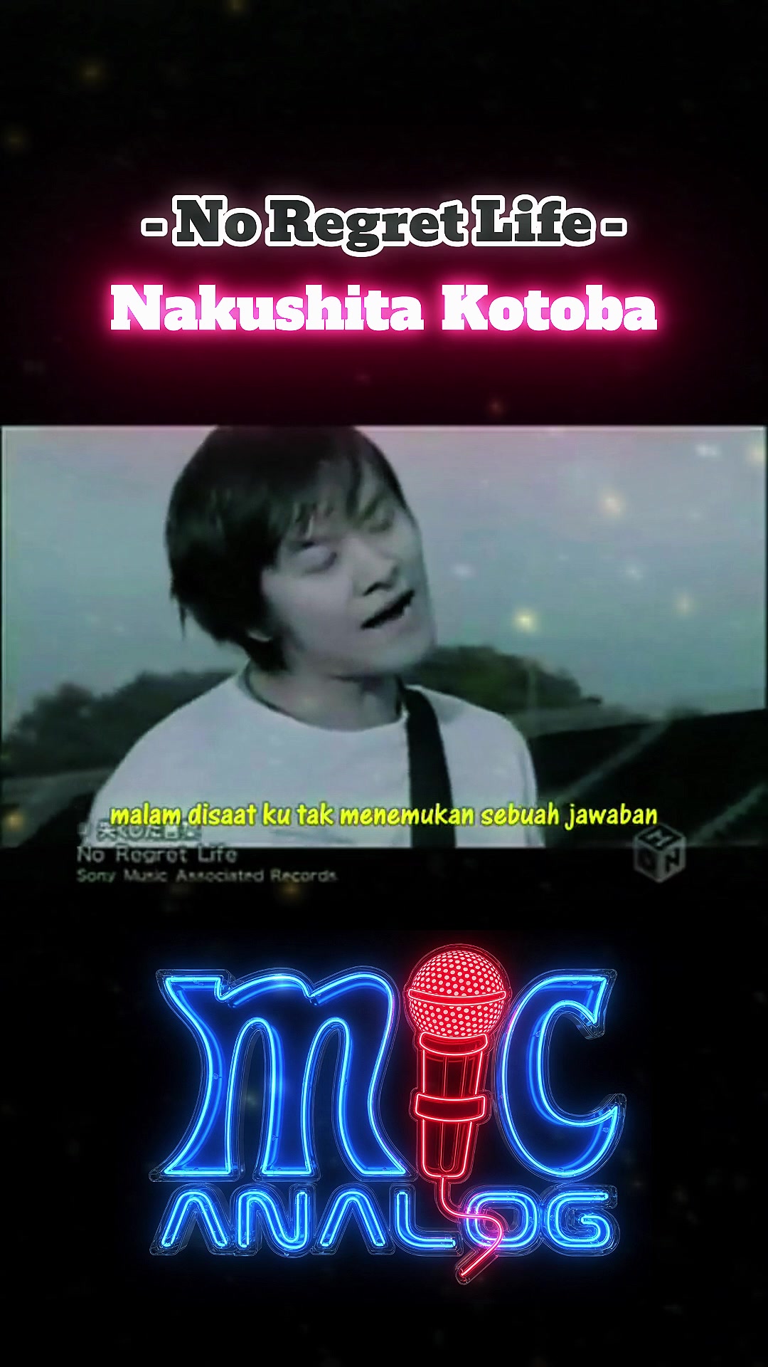@mic analog