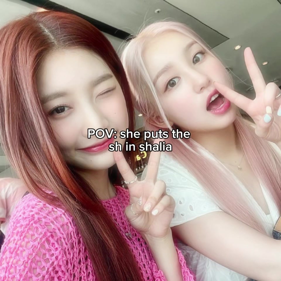 @IROLLIE || 아이롤리🌸