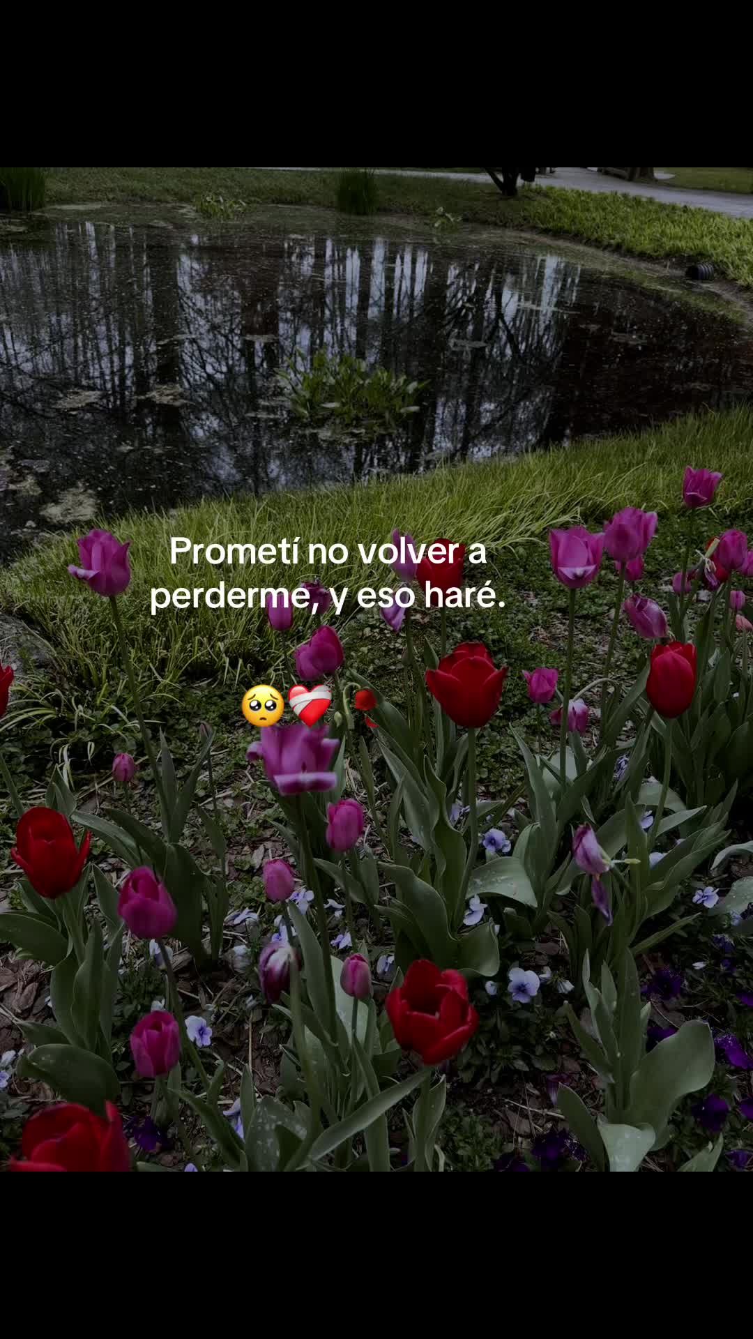 @🥀🥲𝒴𝒶𝓂𝒾.🥀❤️&zwj;🩹