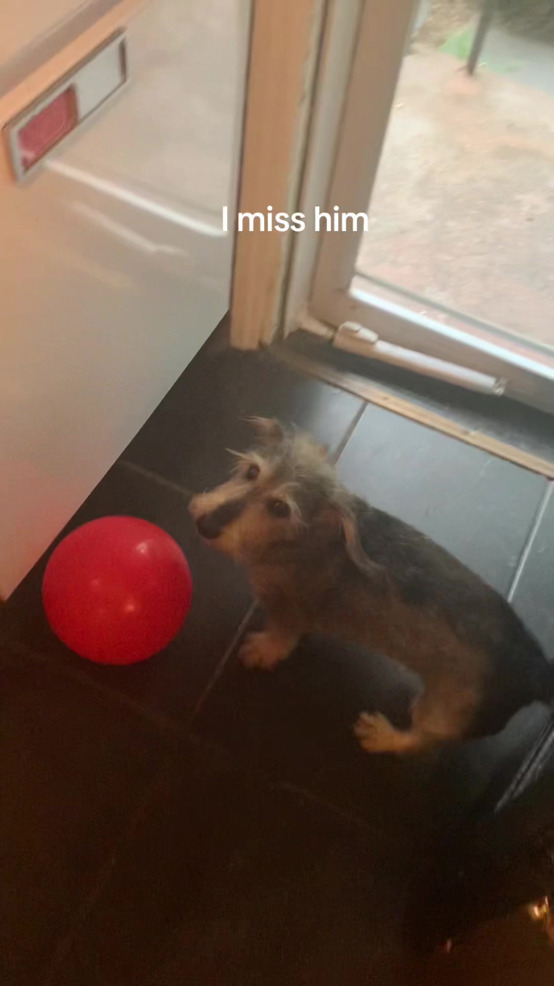 @julie