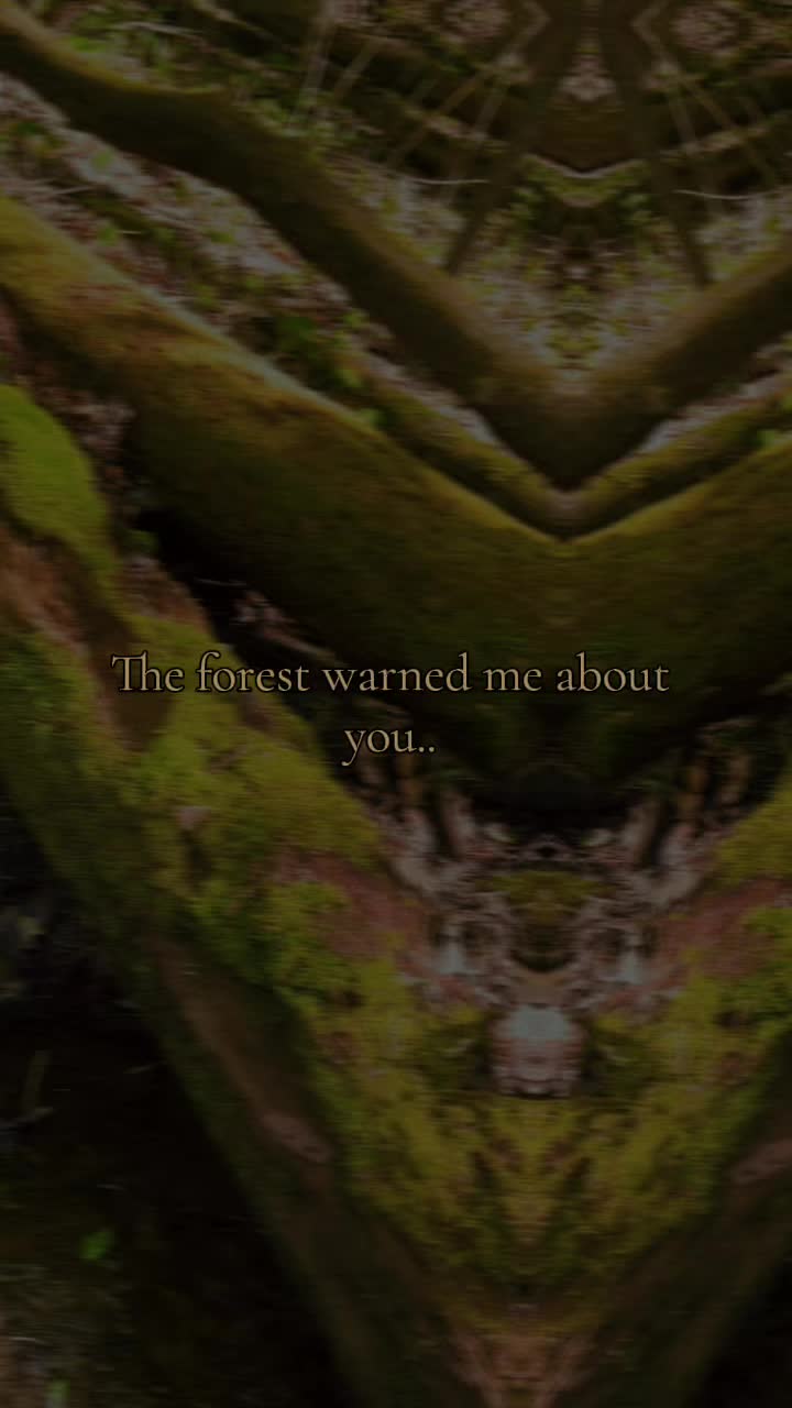 @꩜*٭𓋼𓍊𐀔𝐿𝑒𝓍𝓍𝒾𓆣⋆↟𖠰𖦹⋆˙⋆