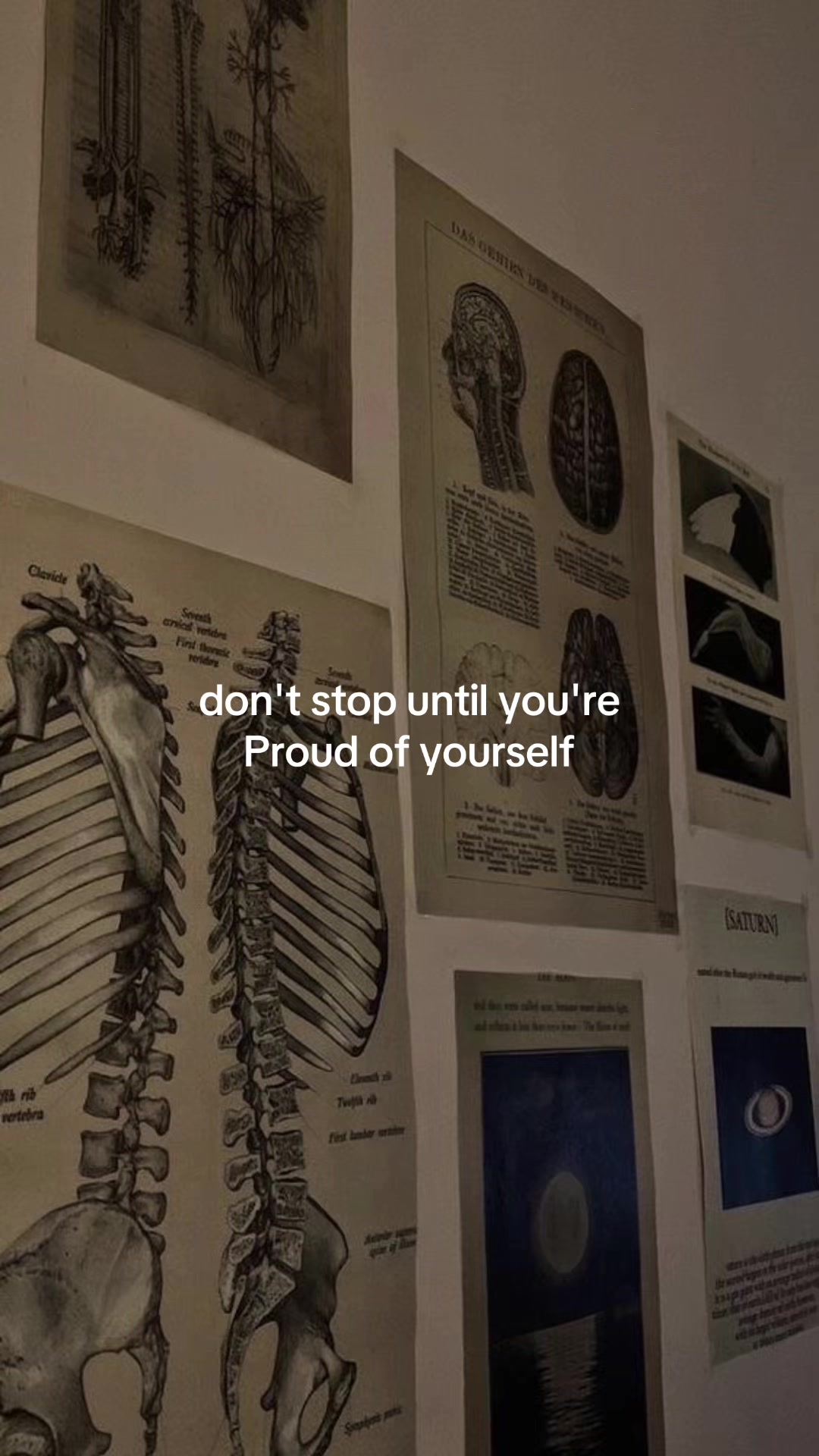 @AnaStudytips