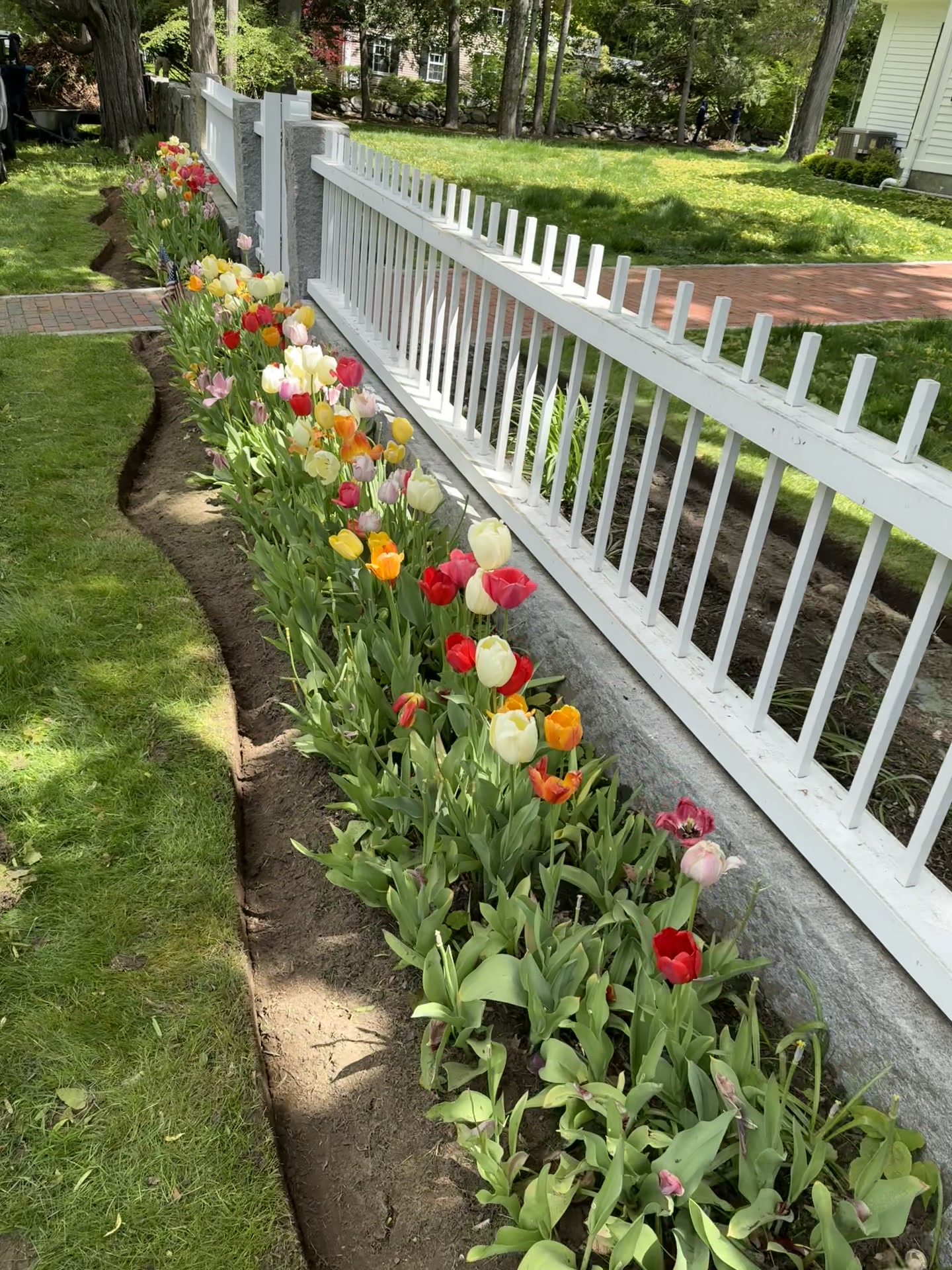@Prestige landscaping ☘️🍃