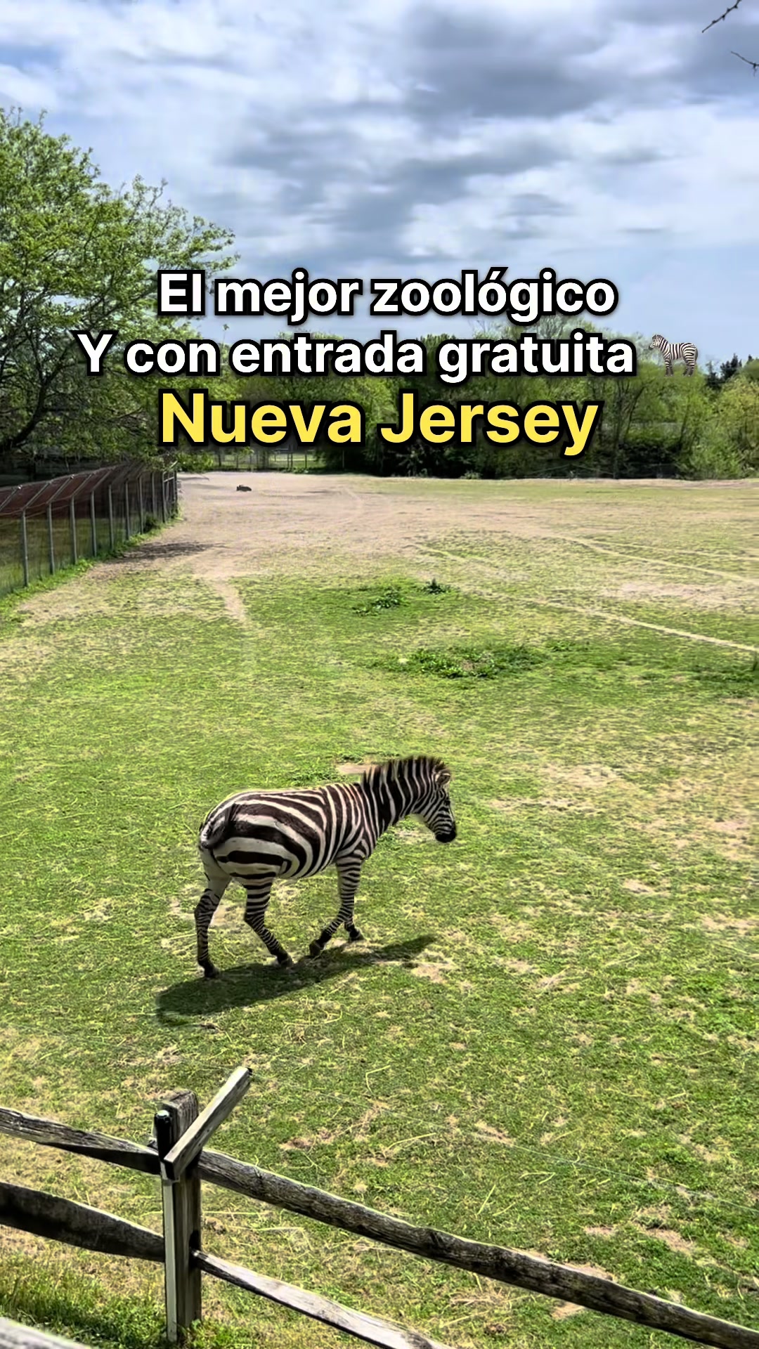 @Camilo Núñez