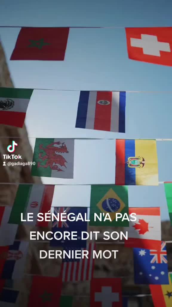 @PANTHÈRE