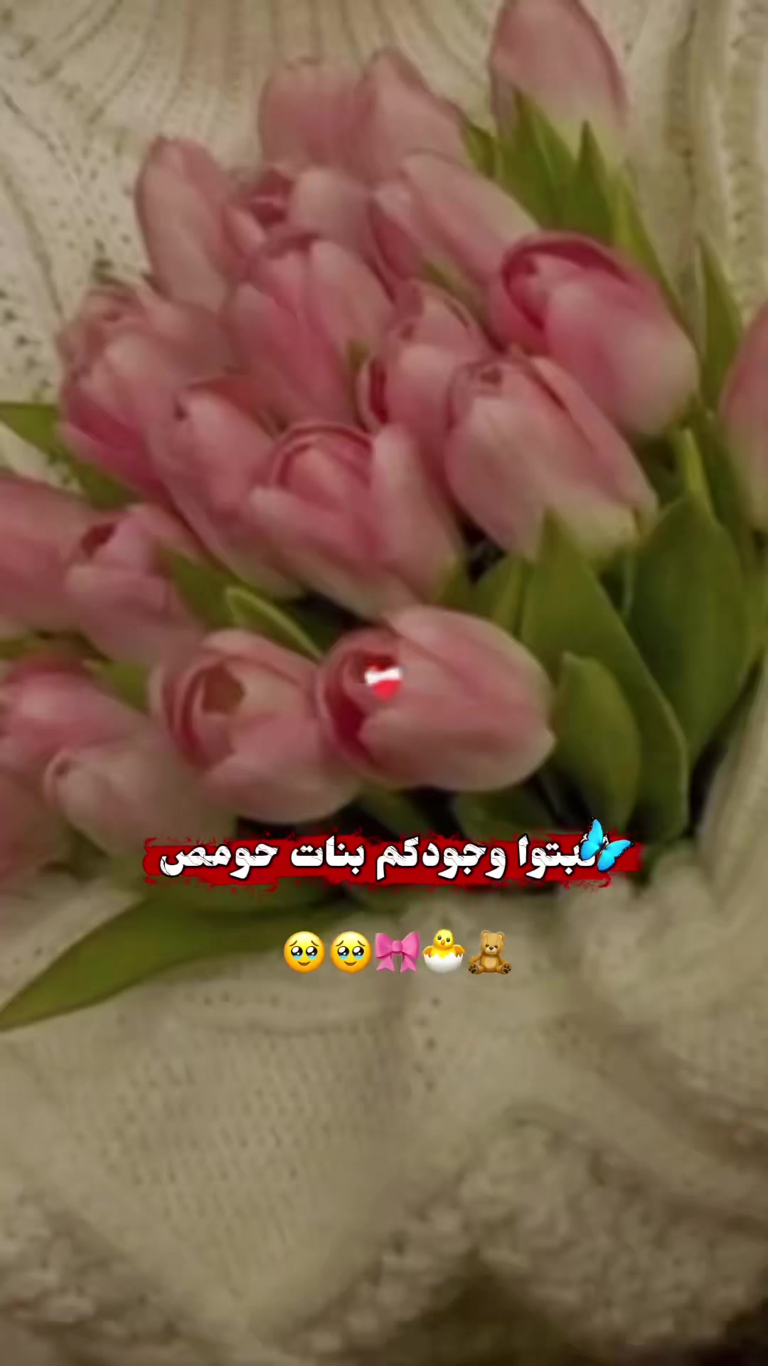 @𓏲ּ ننوش الـحـمـصـيـة 🎀 𓍢
