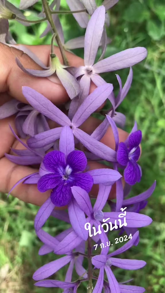 @Konloy