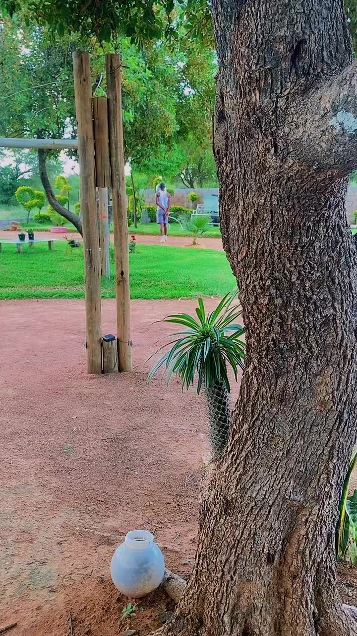 @Brizo 🕷️🕸️