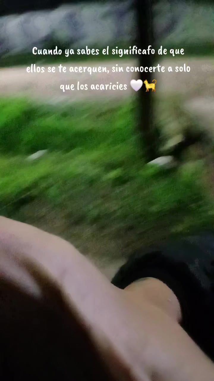@jaqui_ ☘️🤍