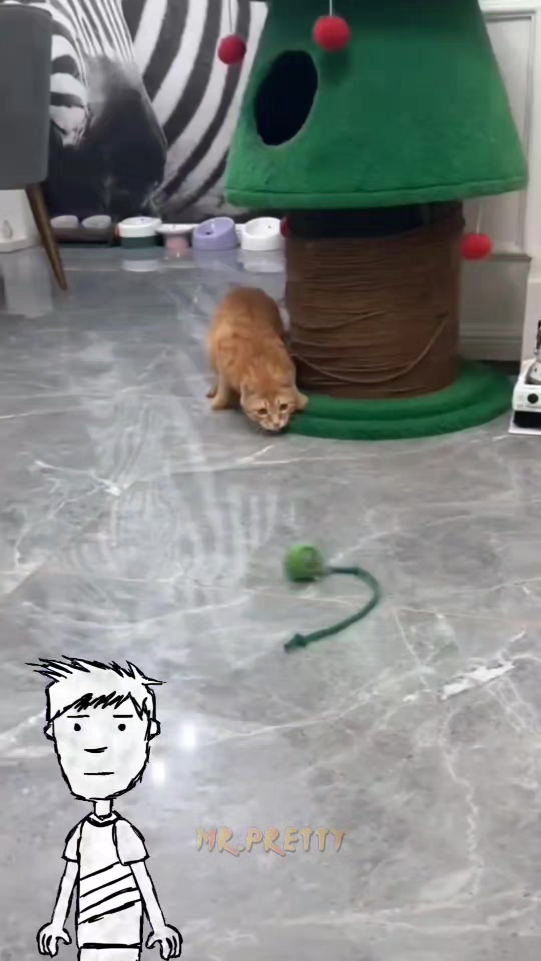 @🐈