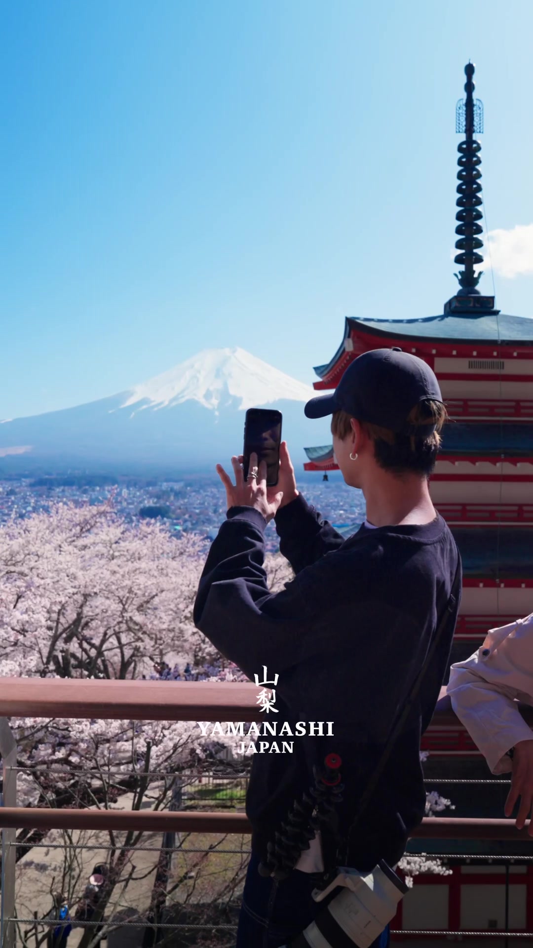 @Cotton | Japan Travel 🇯🇵