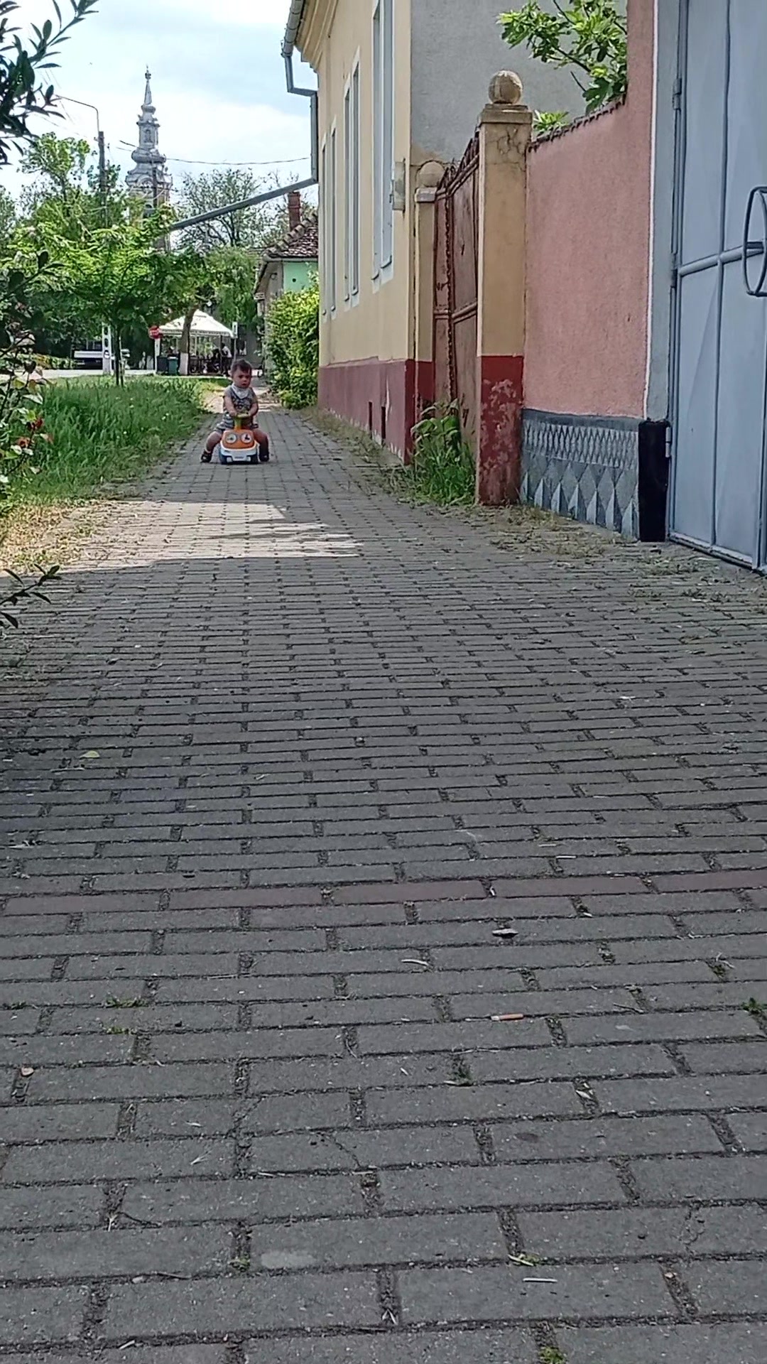 @Elena Fedorca